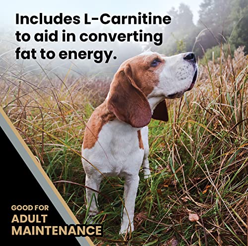 Senior Healthy Weight Dog Food - Gluten Free, 40lbs