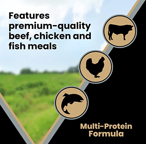 Senior Healthy Weight Dog Food - Gluten Free, 40lbs