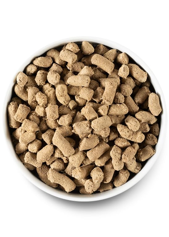 Open Farm Freeze Dried Raw Dog Food - Beef 3.5oz