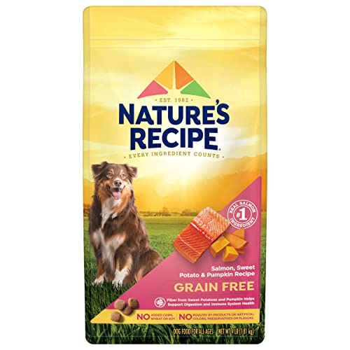 Grain-Free Salmon Dog Food, Sweet Potato & Pumpkin