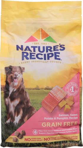 Grain-Free Salmon Dog Food, Sweet Potato & Pumpkin