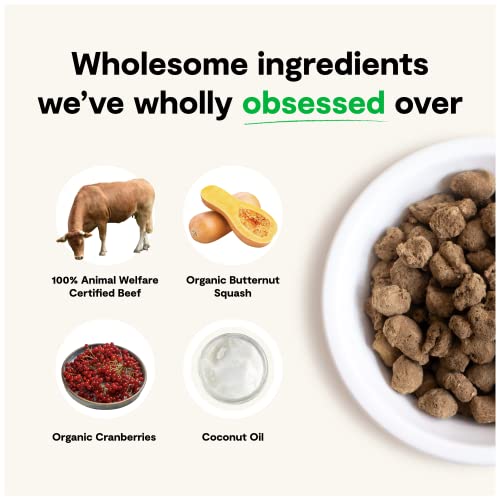 Open Farm Freeze Dried Raw Dog Food - Beef 3.5oz