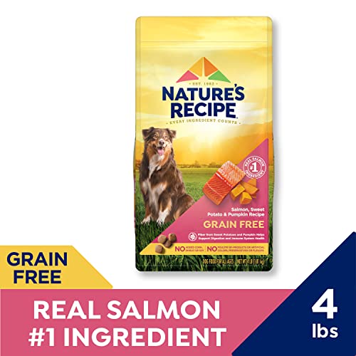 Grain-Free Salmon Dog Food, Sweet Potato & Pumpkin