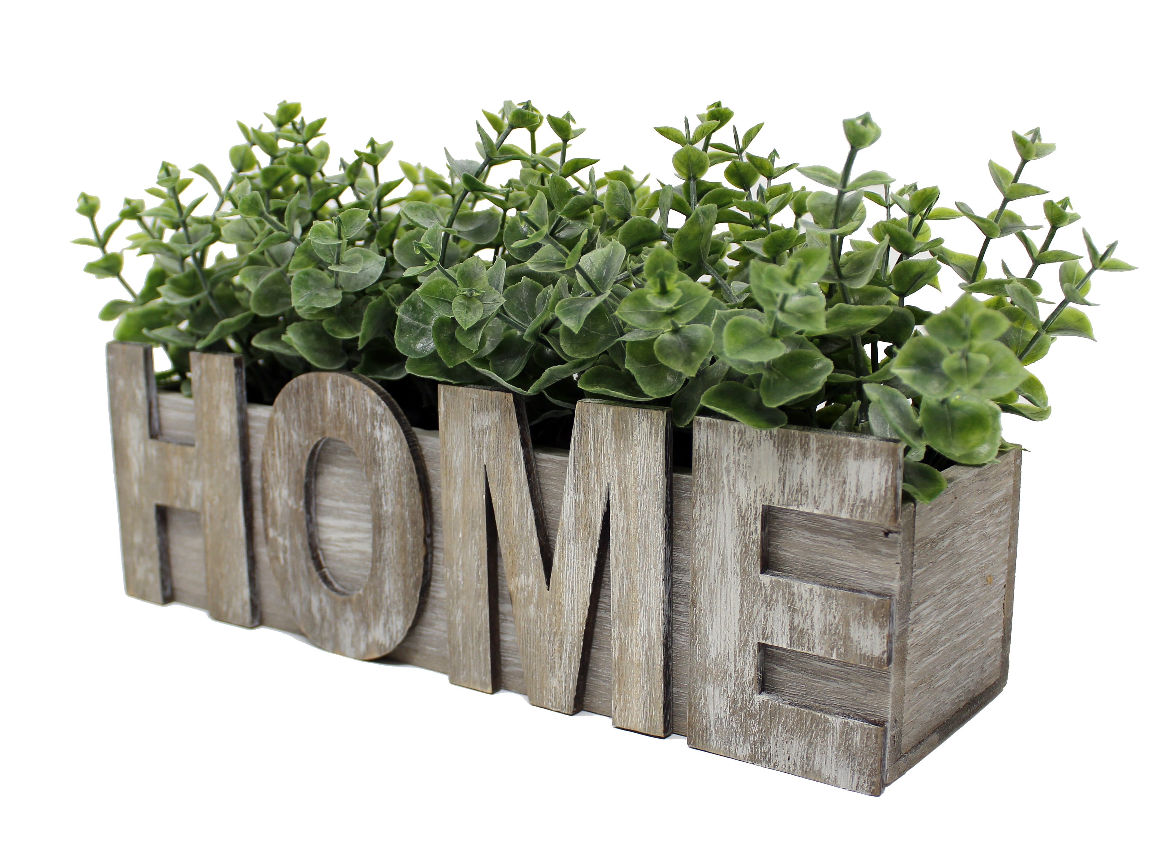 Eucalyptus Greenery Plant with Grey Wood Box