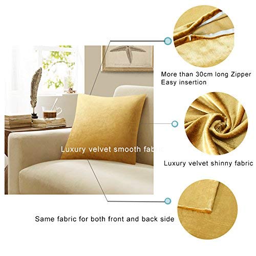 Gold Velvet Throw Pillow Covers 18x18 - 2 Pack