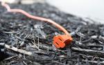 Southwire 50 Foot Outdoor Power Extension Cord