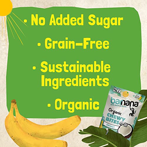 Organic Coconut Banana Bites - Healthy Snack 6-Pack