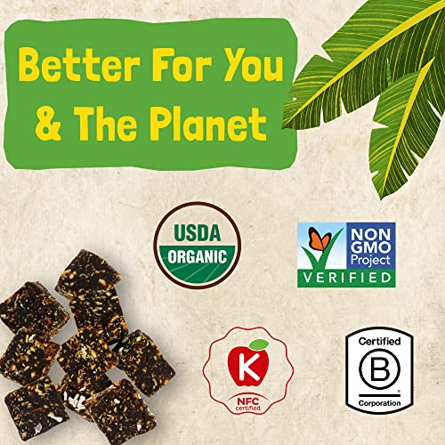 Organic Coconut Banana Bites - Healthy Snack 6-Pack