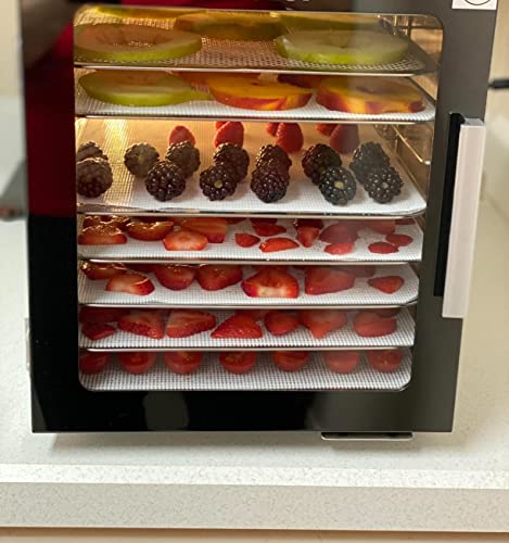 Silicone Dehydrator Sheets, Premium Non Stick Mesh