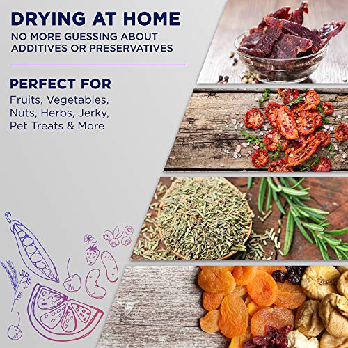 Ivation 10 Tray Food Dehydrator | 1000w, Digital