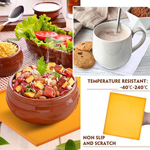8 Pcs Silicone Dehydrator Sheets with Edge and 10 Pcs Mesh Dehydrator Mats: Non-Stick Dehydrator Accessories
