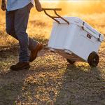 YETI Tundra Haul Wheeled Cooler in Tan