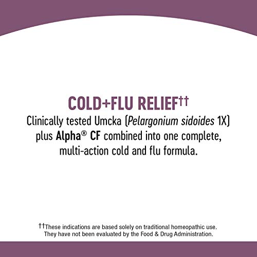 Non-Drowsy Berry Flavored Cold+Flu Chewables