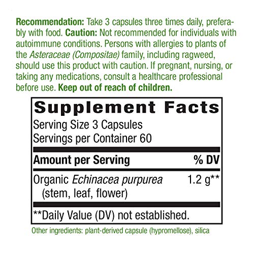 Nature's Way Echinacea Purpurea Capsules, Immune Support