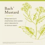 Flower Essence Mustard 20 ML by Bach Flower Essences