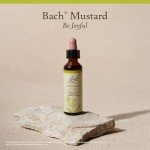 Flower Essence Mustard 20 ML by Bach Flower Essences