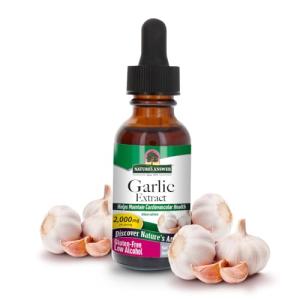 Garlic Extract 1 FL Oz  by Nature's Answer