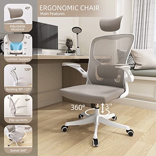 Monhey Adjustable Ergonomic Office Chair with Lumbar Support