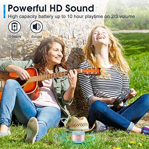 LENRUE A2 Wireless Bluetooth Speaker: HD Sound, Rose Gold