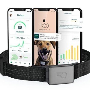 Whistle Switch GPS Health & Fitness Dog Collar