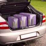 Zimtown Lightweight Purple Luggage Set with TSA Lock