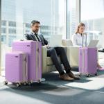 Zimtown Lightweight Purple Luggage Set with TSA Lock