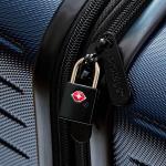 Protege Black TSA Luggage Lock Set of 2