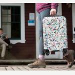 Skyway Epic 2.0 24" Hardside Spinner Lock