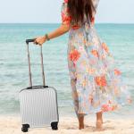 Lightweight 18" Silver Rolling Luggage Lock