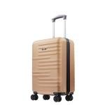 Rose Gold Carry-On Luggage with Spinner Wheels