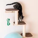 Armarkat Cat Wall Climber Steps - Natural Beige
