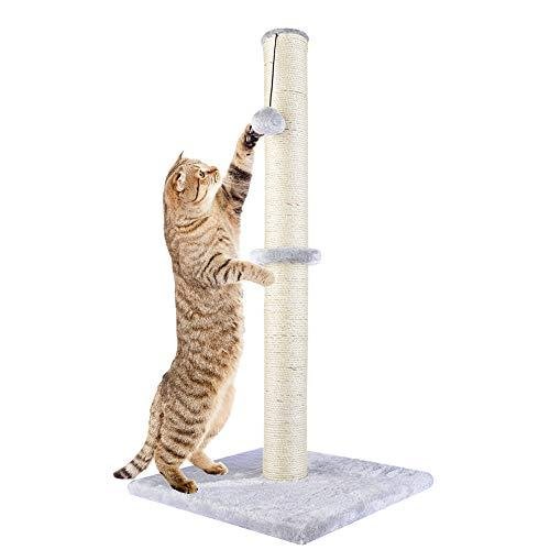 Scratching Posts