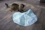 SmartyKat Hot Pursuit Cat Toy - Electronic Blue