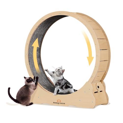 Cat Exercise