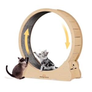Homegroove Cat Exercise Wheel for Indoor Fun