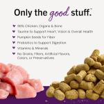 Stella & Chewy's Chicken Dinner Morsels - 8 oz