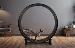 One Fast Cat Exercise Wheel for Active Cats