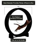 One Fast Cat Exercise Wheel for Active Cats