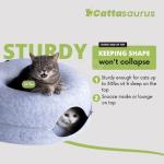 CATTASAURUS Large Peekaboo Cat Cave & Tunnel