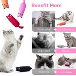 5-Pack Catnip Cartoon Mice Chew Toys