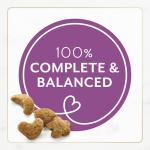 Purina Fancy Feast Chicken & Turkey Dry Cat Food