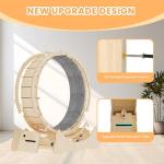 Homegroove Cat Exercise Wheel for Indoor Fun