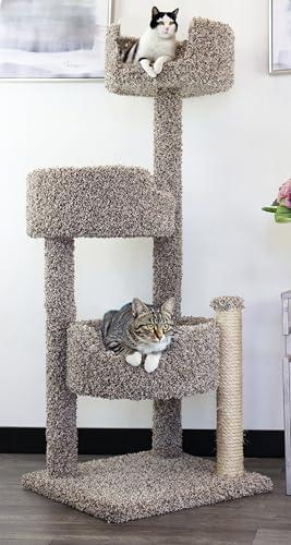 Cat Condos
