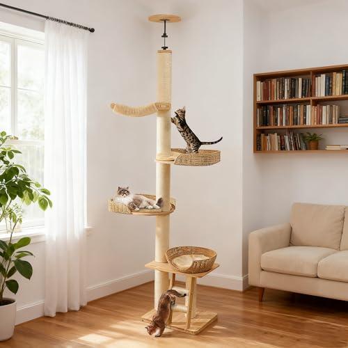 Cat Furniture