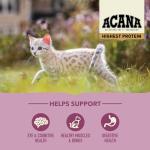 ACANA High-Protein Dry Cat Food for Kittens