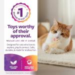 Madcap Mouse Plush Catnip Toy with String Tail