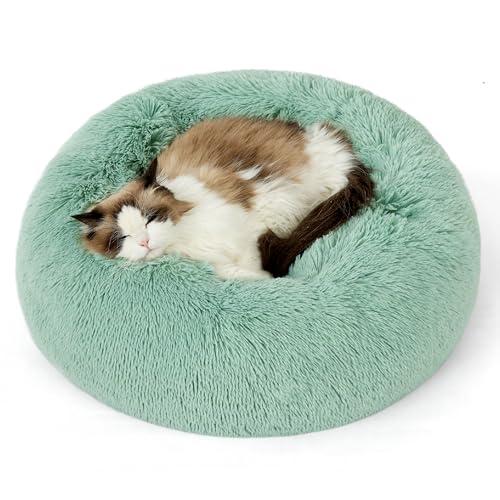 Cat Beds