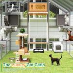 Spacious Outdoor Catio for Multiple Cats