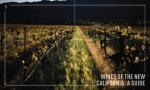 California Wine Guide: Explore Top Producers and Wines