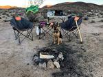 Portable Outdoor Wine Table for Camping and Picnics